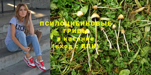 мескалин Наволоки