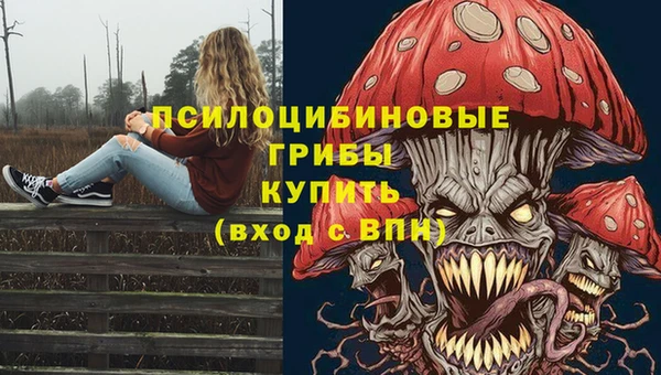 мет Нефтекумск