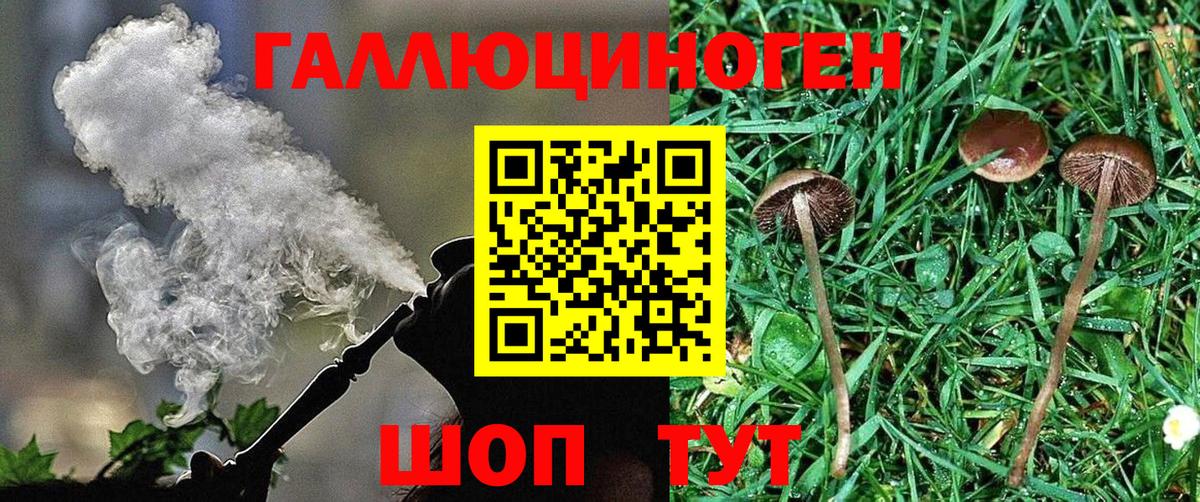 что такое   Вход с VPN  Ступино  Галлюциногенные грибы Psilocybine cubensis 